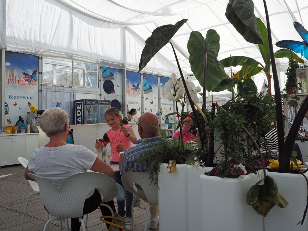 Bezoekers aan tafel tussen tropische planten in de gekoelde en verwarmde vlindertuin
